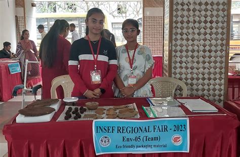 Eco friendly packaging material