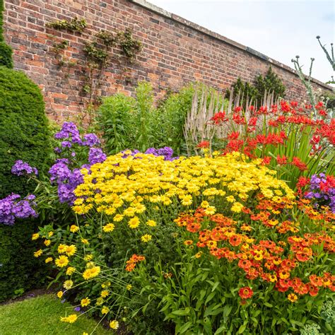 Marigold Flower Bed Borders