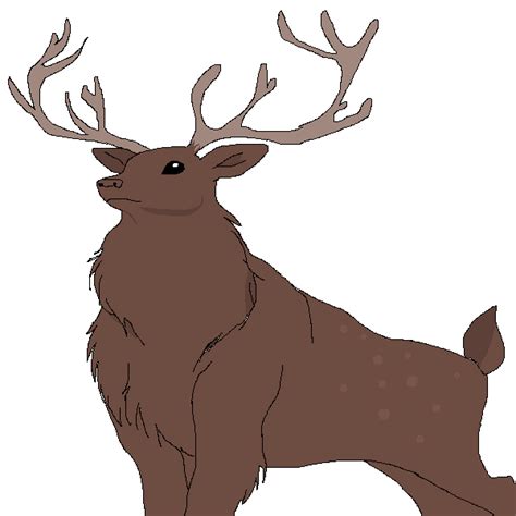 Image result for Buck Drawing Tutorial
