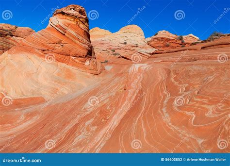 AZ-N. Coyotte Buttes-the Wave Stock Photo - Image of crevices, close ...