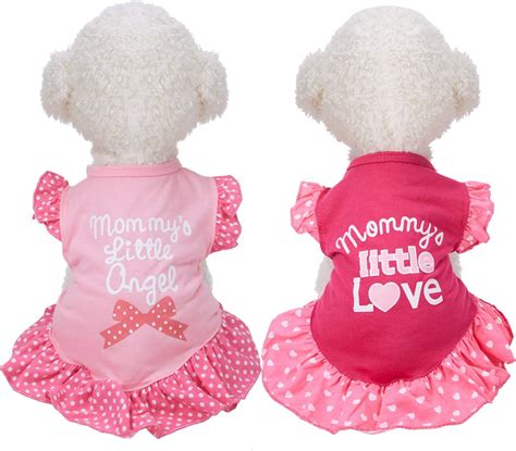 Amazon.com : 2 Pieces Dog Dresses for Small Dogs Cute Girl Female pet ...