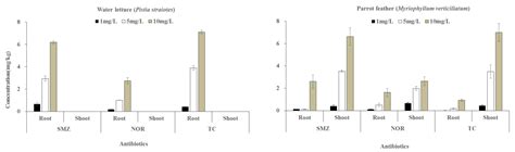 Phytotoxicity and Accumulation of Antibiotics in Water Lettuce (Pistia ...