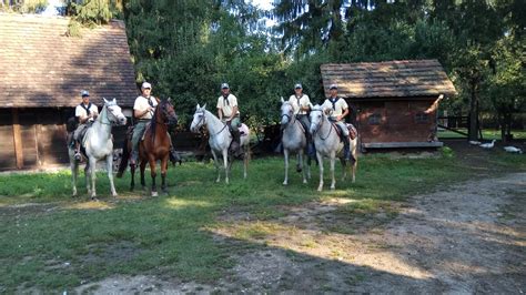 Konjanički maraton arapskih konja - 25. godina pod sloganom „Tradicija ...