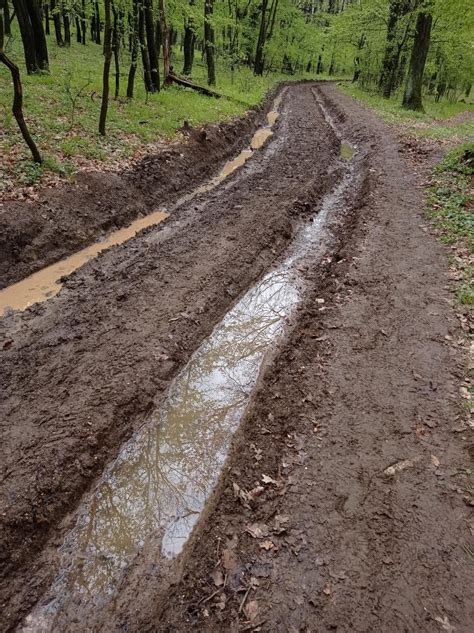 Image result for Mud Spring Break