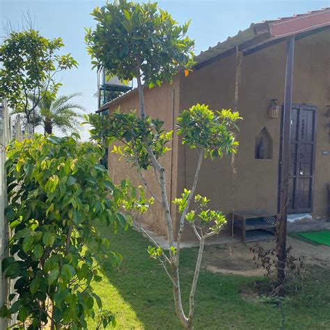 YADUVANSHI FARM AND RESORT (Gurugram (Gurgaon)) - Hotel Reviews, Photos ...