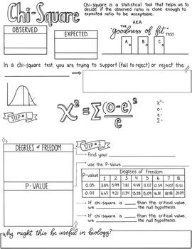 *AP Biology* Chi-Square Sketch Notes by Creativity Meets Cognition