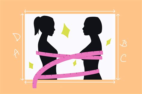 Best Boob Size According to Men and Women in 2026 - MoreForce.com