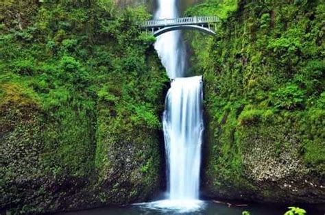 Image result for HTML CSS JavaScript Structure Men