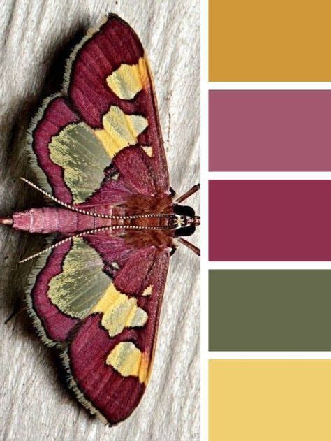 Image result for Color Combinations 3 Colors