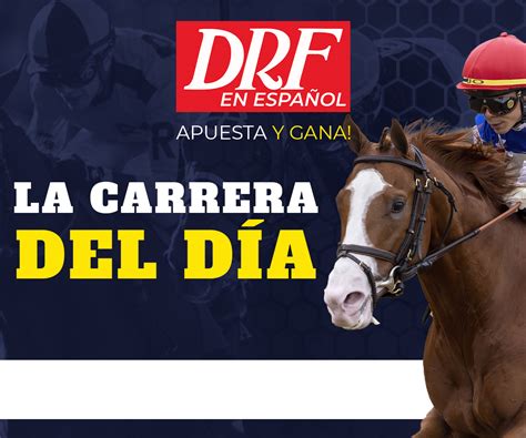 Daily Racing Form hace oficial su nueva plataforma en Español | DRF en ...