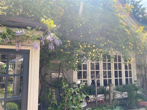 Excellent pub near Amersham. - Reviews, Photos - The Red Lion - Tripadvisor