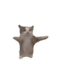 Happy Cat Happy Happy Cat Sticker - Happy cat Happy happy cat Happy ...