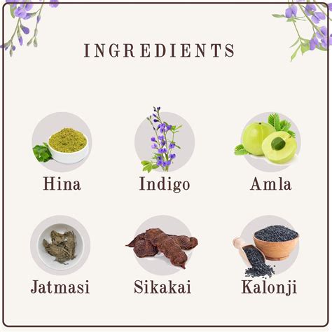 Get Online Black Hair Colour Powder - 100gm – Samisha Organic