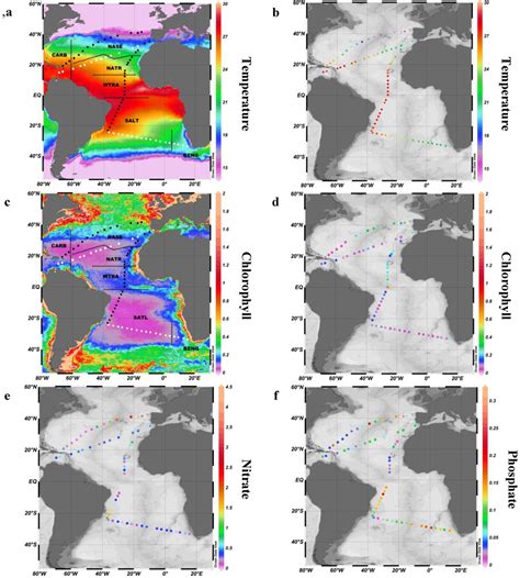 Polyunsaturated Aldehydes from Large Phytoplankton of the Atlantic ...