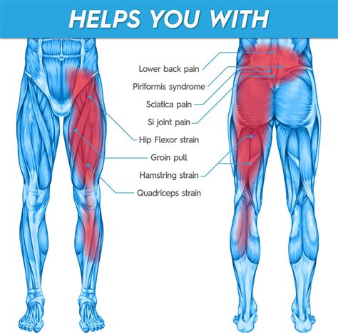 Pain in testicle and groin and lower back. Understanding Testicular Pain: Causes, Symptoms, and ...