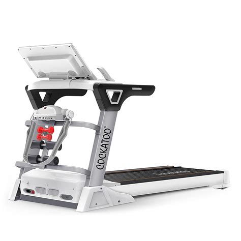 Cockatoo CTM-02 Commercial AC Motorized Treadmill – 160 kg Capacity