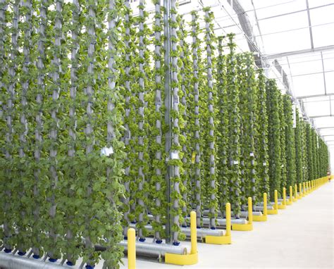 Commercial Hydroponic Greenhouse Systems | Eden Green Technology