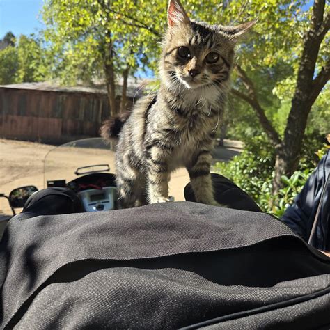 RANKIN RANCH (Caliente) - Ranch Reviews & Photos - Tripadvisor