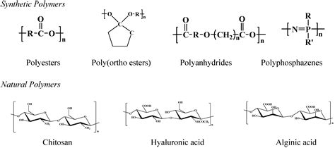 Image result for Biodegradable Polymers Examples