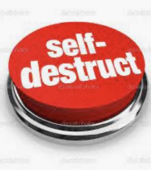 Image result for Cube Self-Destruct Button