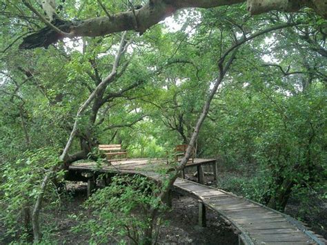 THE BEST Restaurants in Andhra Pradesh (Updated January 2026)