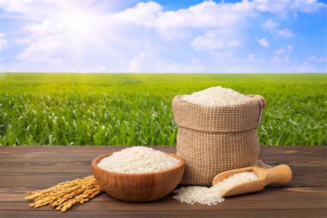 960+ Basmati Rice Bag Stock Photos, Pictures & Royalty-Free Images - iStock