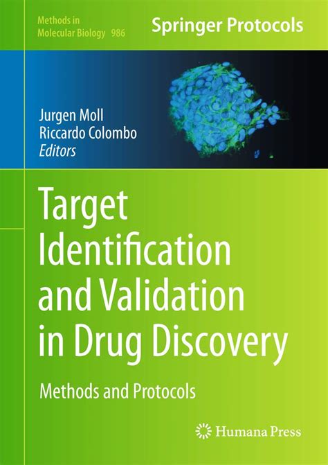 Buy TARGET IDENTIFICATION AND VALIDATION IN DRUG DISCOVERY (HB 2013 ...