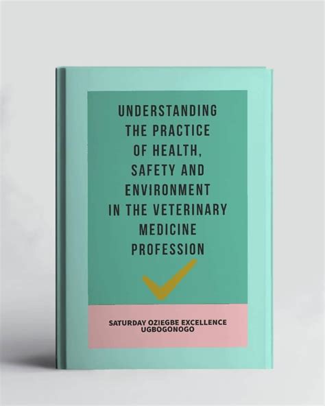 Understanding The Practice Of Health, Safety And Environment In The ...