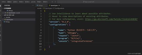 Vscode Package.json Python 的图像结果
