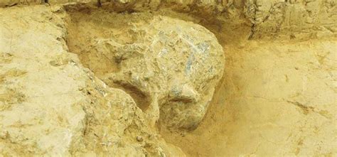 चीन: खुदाई में मिली 10 लाख साल पुरानी इंसानी खोपड़ी, खुलेंगे मानव ...