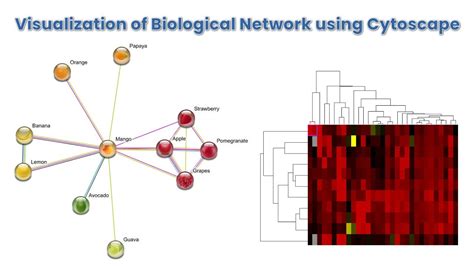 Image result for Cytoscape Tutorial