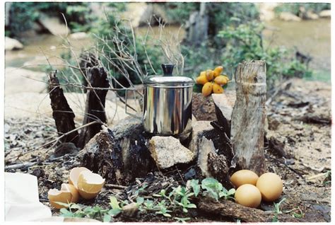 Image result for Food Tree