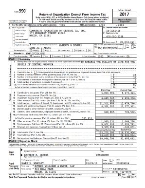 Fillable Online Form 990 as filed.pdf Fax Email Print - pdfFiller