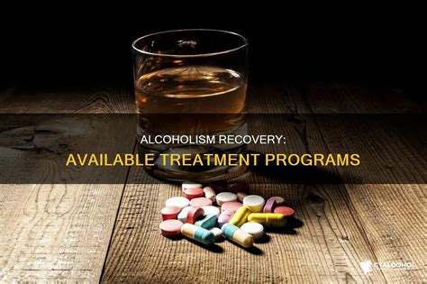Image result for Alcoholism Recovery Programs