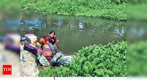 Revive And Restore Ramnadi: Pune: Citizens to join hands to revive ...