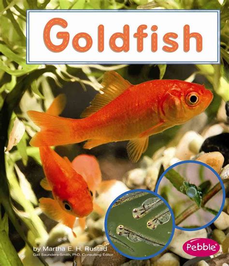 Goldfish (Watch it Grow) : Rustad, Martha E. H.: Amazon.in: Books
