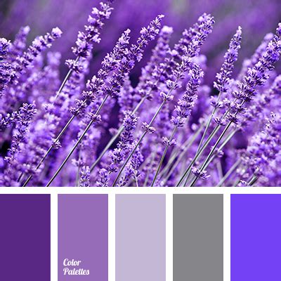 Image result for Color Scheme Examples with Violet