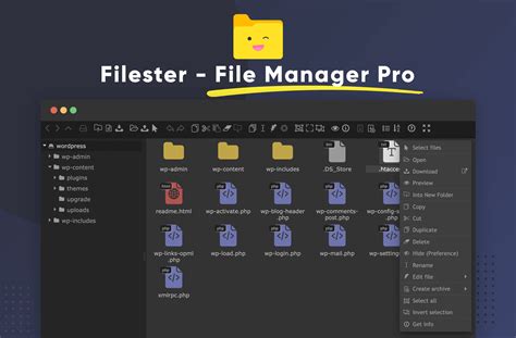 Image result for WordPress File Manager