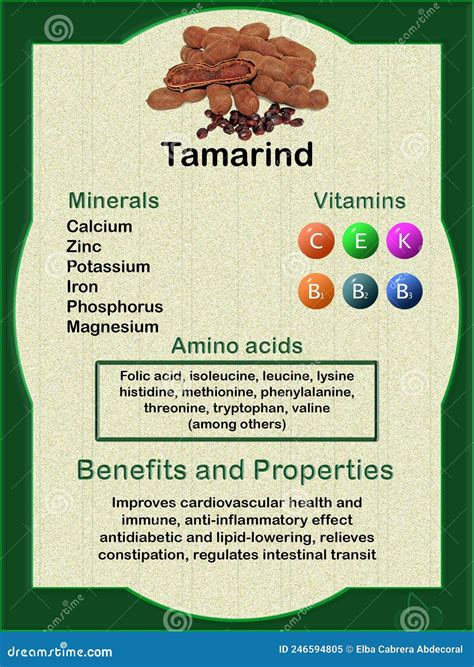 Tamarind, Infographic Label Nutritional Values and Health Benefits in ...