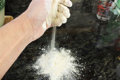 Easy No-Rise Organic Cinnamon Rolls – Organically Made