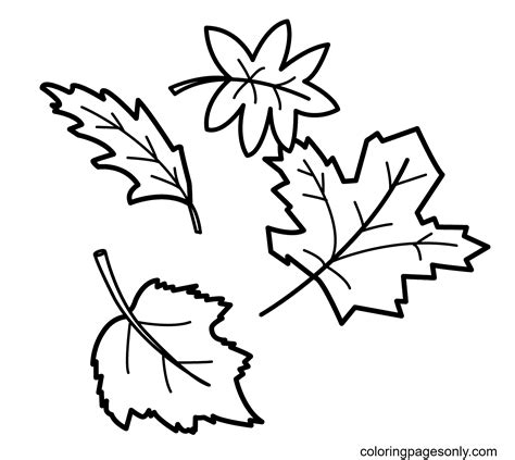 Fall Leaf Coloring Pages