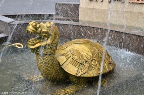 玻璃钢乌龟雕塑图片 – 博仟雕塑公司BBS
