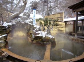 Image result for Onsen Types