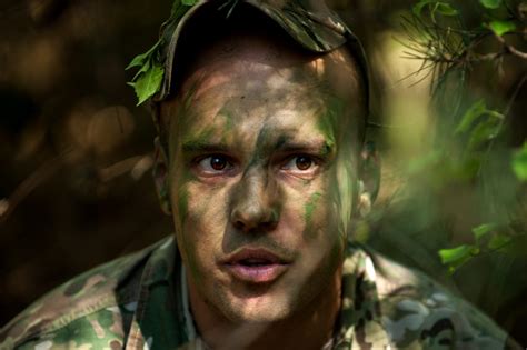 Forest Survival 的图像结果