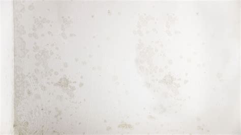 Cold Spots: Causes, Consequences, and How to Fix Them - Building Energy ...