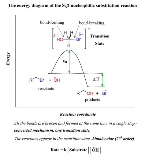 Image result for First Order Reaction Graph Title