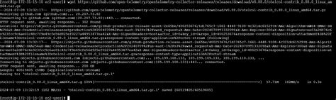 Apache2 Log 的图像结果