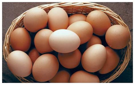 好吃的煮鸡蛋的做法_【图解】好吃的煮鸡蛋怎么做如何做好吃_好吃的煮鸡蛋家常做法大全_佳佳棒棒声_豆果美食