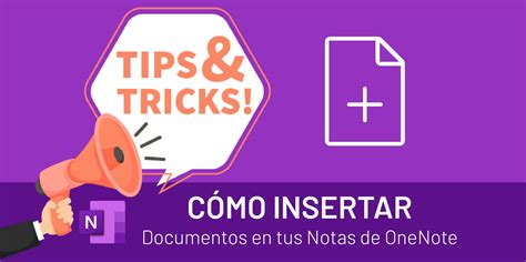 Image result for Insert Video into OneNote