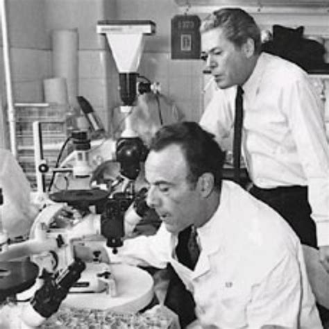 3 jun 1961 año - 1961 - François Jacob y Jacques Monod proporcionan el ...